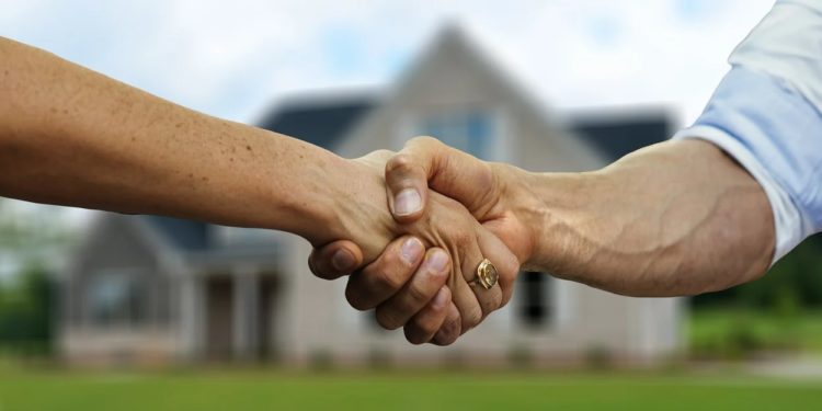 Buying a Tiny House? 6 Important Factors to Consider