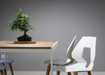 How to Bring Life to your Interiors