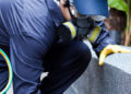 What Mistakes to Avoid when Choosing a Pest Exterminator