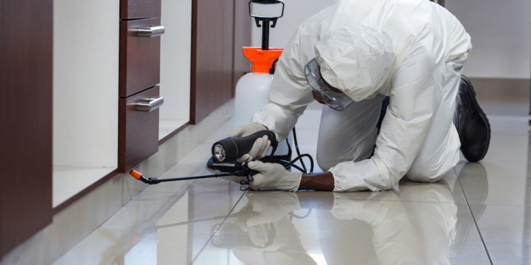 Key features of Pest Control plan