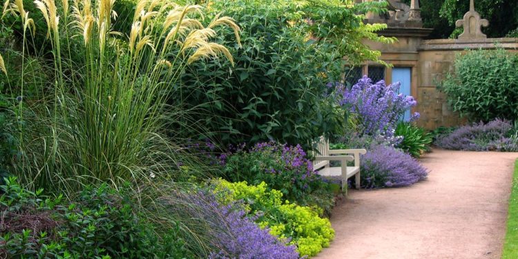 Top Tips for Enjoying Your Summer Garden