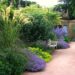 Top Tips for Enjoying Your Summer Garden