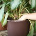 What are the pros of indoor gardening?