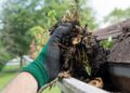 What Does Gutter Cleaning in Tampa Include?