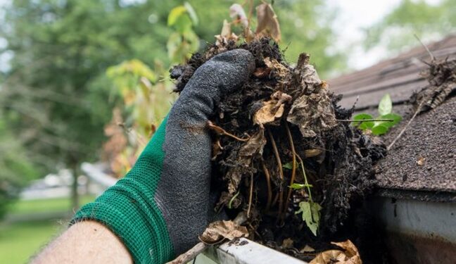 What Does Gutter Cleaning in Tampa Include?