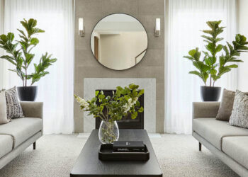 4 Beautiful Indoor Plants With Health Benefits