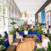 5 Low-Maintenance Office Plants that Add Color To Spice Up Your Office