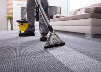 From Stains to Shine: Transforming Your Home with Expert Carpet Cleaning Services in Edmonton