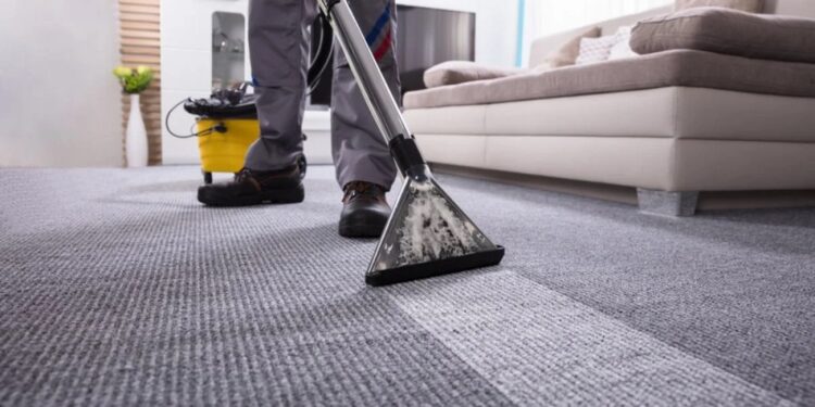 From Stains to Shine: Transforming Your Home with Expert Carpet Cleaning Services in Edmonton