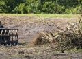 Clearing Land The Right Way: What Every Property Owner Should Know