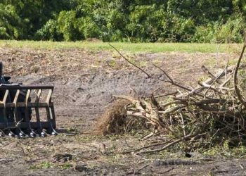 Clearing Land The Right Way: What Every Property Owner Should Know