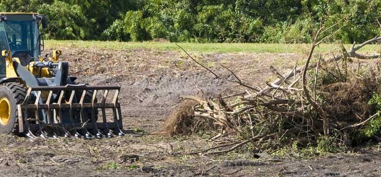 Clearing Land The Right Way: What Every Property Owner Should Know
