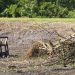 Clearing Land The Right Way: What Every Property Owner Should Know