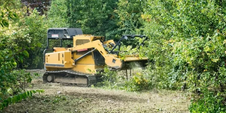 Granbury Land Clearing: Transforming Properties with Professional Care